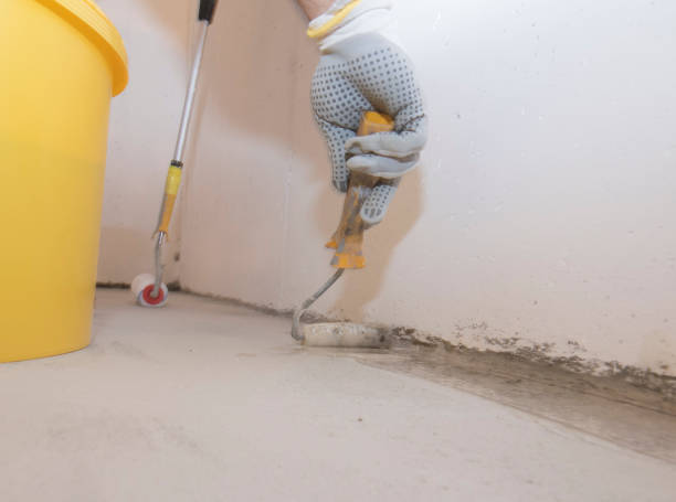 Best Bed Bug Extermination  in Collierville, CA